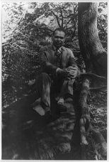 Countee Cullen, Writer