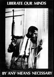 Malcolm X - By Any Means Necessary